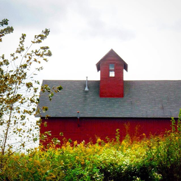 Peck Farm Park - @yoga.gal